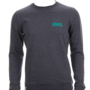 levelwings sweatshirt grey with green life path face